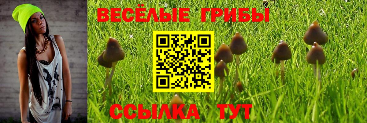 Галлюциногенные грибы MAGIC MUSHROOMS  Псилоцибиновые грибы мицелий  Костомукша  Вход с VPN 